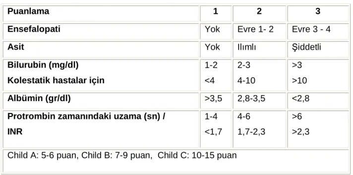 Tablo 2.6.1: Child-Pugh Skorlama Sistemi 