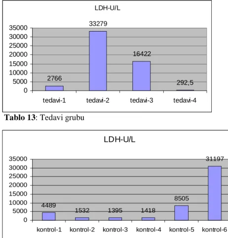 Tablo 13: Tedavi grubu 