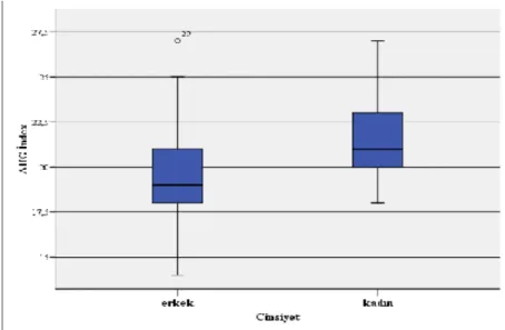 Grafik 6 : Cinsiyet ve Augmentasyon indexi 