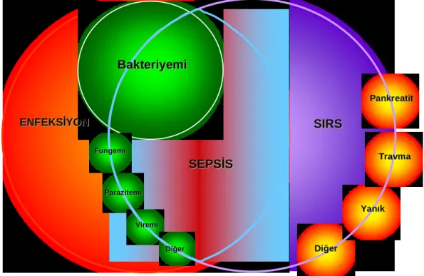 Şekil 1: SIRS, sepsis ve enfeksiyon arasındaki ilişki 
