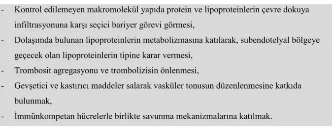 Tablo 1. Endotel hücre fonksiyonları. 