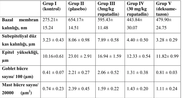 Tablo 5. Tüm grupların histolojik parametrelerinin ölçümleri  Grup I  (kontrol)   Grup II  (plasebo)  Grup III (3mg/kg  rupatadin)  Grup IV  (30 mg/kg  rupatadin)  Grup V  (deksame- tazon)  Bazal  membran  kalınlığı, nm  275.21± 15.24  654.17± 14.51  595.4