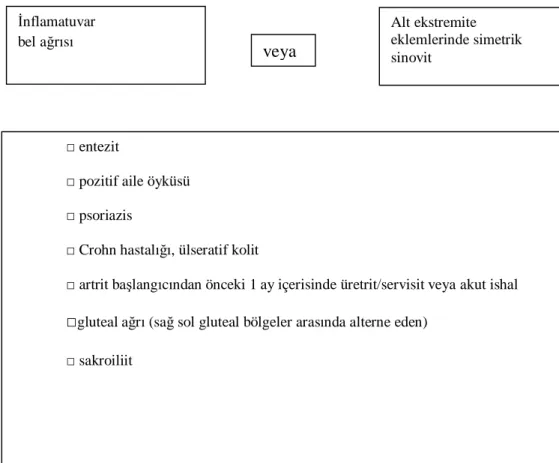 Şekil 4. Spondiloartrit sınıflaması için Avrupa Spondiloartrit Çalışma Grubu kriterleri(52) 