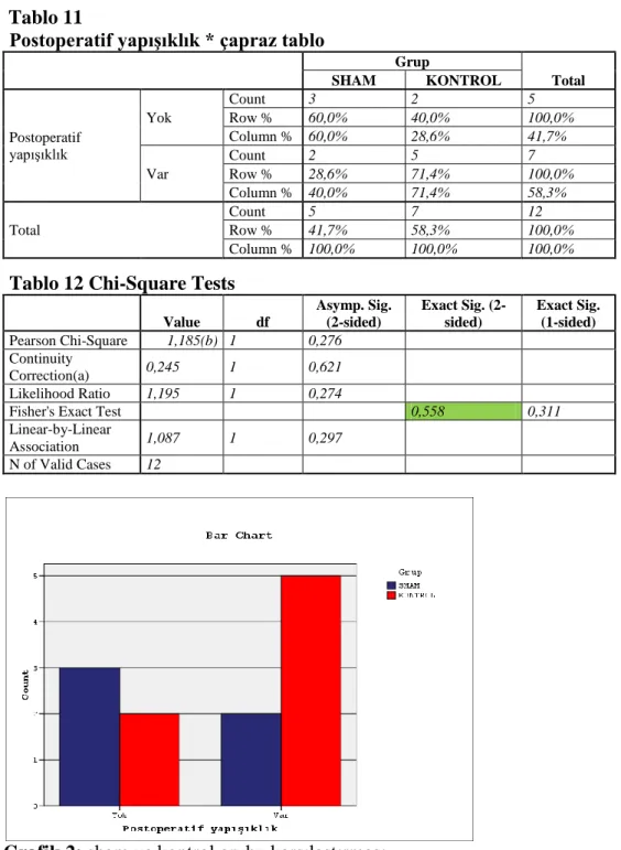Tablo 12 Chi-Square Tests 