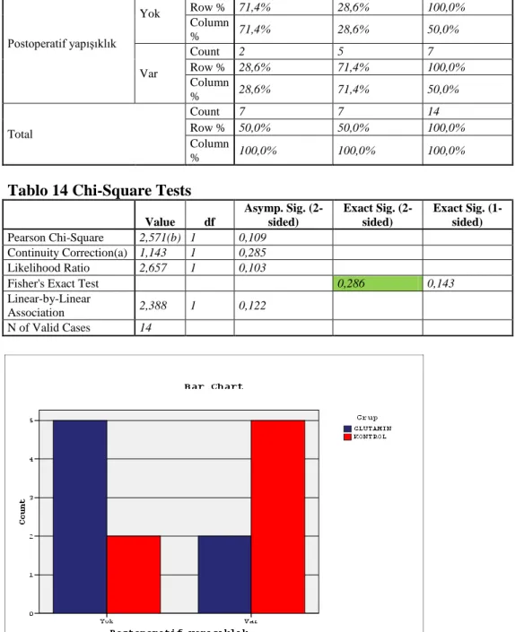 Tablo 14 Chi-Square Tests 