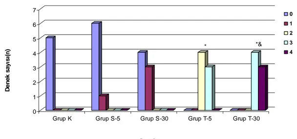 Şekil 3. Hasar skorlarının gruplara göre dağılımı 