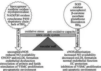 Şekil 9: Oksidan ve antioksdanlar arasındaki ilişkiler ve NO sistemi, Muller at all,  Antioxid