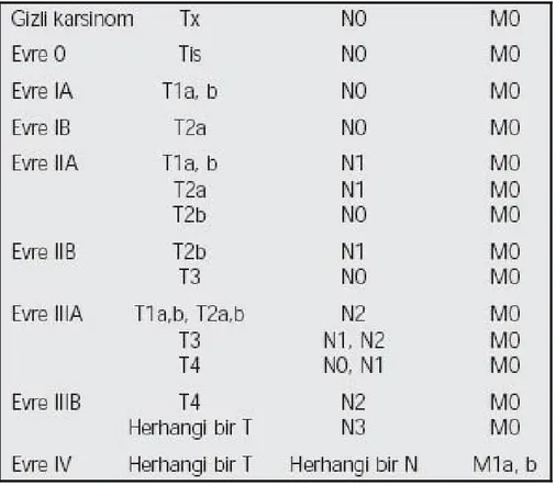 Tablo 14. Yeni TNM evreleme sistemi 