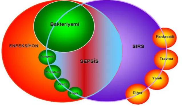 Şekil 1. SIRS, sepsis ve enfeksiyon arasındaki ilişki (16).