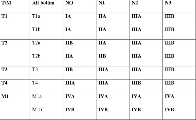 Tablo 3: UICC 7. akciğer kanseri evrelemesinde TNM grupları [11]  T/M  Alt bölüm  NO  N1  N2  N3  T1  T1a  T1b  IA  IA  IIA IIA  IIIA IIIA  IIIB IIIB  T2  T2a  T2b  IIB  IIA  IIA IIB  IIIA IIIA  IIIB IIIB 