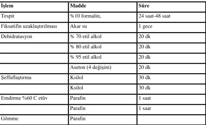Tablo 2: Işık mikroskobik doku takip protokolü 