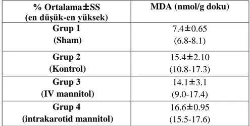 Tablo 11: Sıçan beyin dokularının ortalama MDA düzeyleri   % Ortalama±SS 