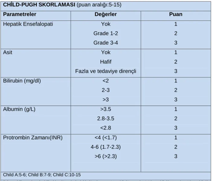 Tablo 3. Child-Pugh Skorlaması 