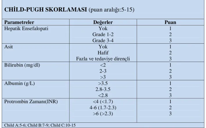 Tablo 3. Child-Pugh Skorlaması 
