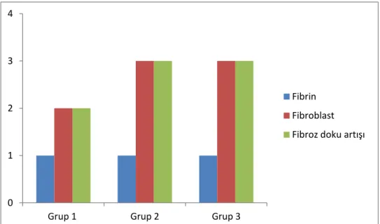 Grafik 7:  Kontrol ve çalışma gruplarında Fibrin, Fiibroblast, Fibröz doku artışı  