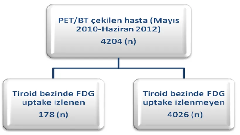 Tablo 1:F-18 FDG PET insidentaloma vakaları  