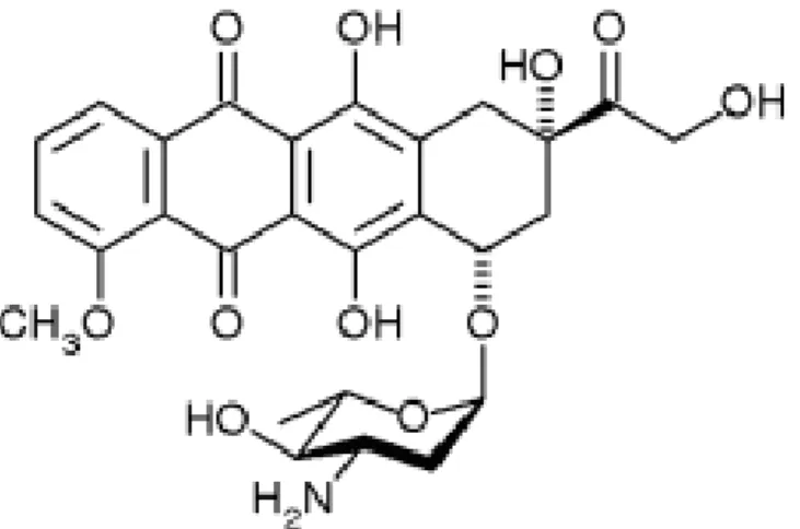 Şekil 4. Epirubicinin yapısı (21):  