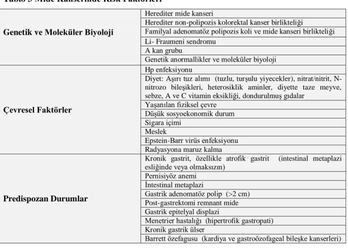 Tablo 3 Mide Kanserinde Risk Faktörleri 