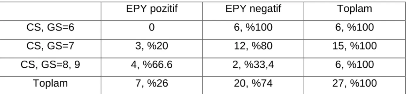 Tablo 8: Pozitif CS alanlarındaki GS x EPY (p=0.007) 