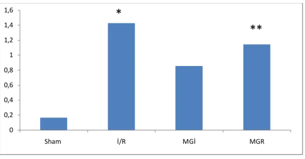 Grafik 2.  Böbrek histomorfolojik incelemesinde mononükleer hücre infiltrasyonu  skorları 