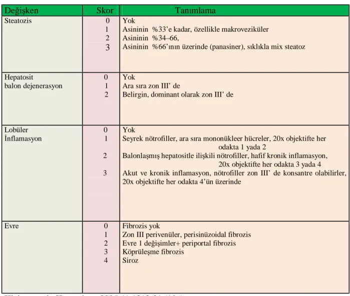 Tablo 4. Steatohepatit İçin Önerilen Skorlama Sistemi 