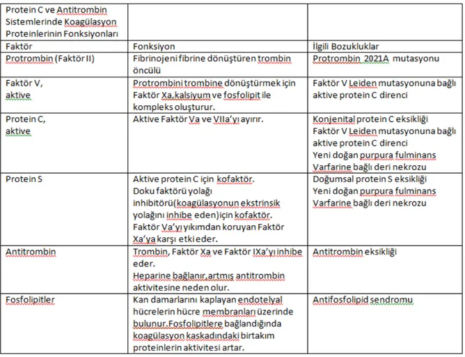 Tablo 3. Protein C ve Antitrombin Sistemlerinde Koagulasyon Proteinlerini Fonksiyonları 