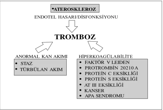 Şekil 2.7: Tromboembolizmin Kalıtsal ve Edinsel Nedenleri 