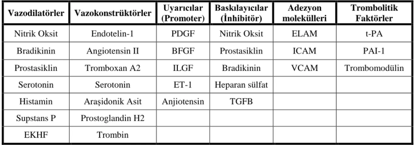 Tablo 2.3:  Endotelden Salgılanan Mediyatörler ve Etkileri [57].