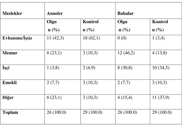 Tablo 19. Anne ve Babaların Meslekleri 