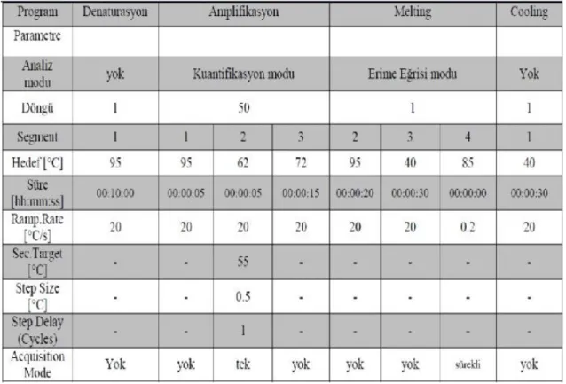 Tablo 4: Light Cycler® Gerçek  Zamanlı PZR çalışma protokolü