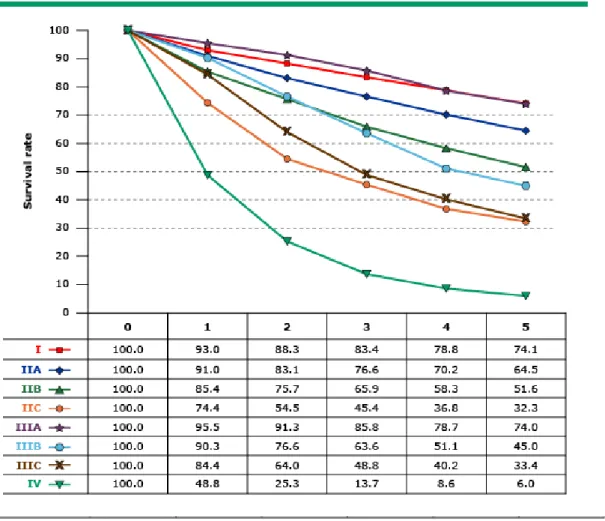 Grafik 1. Rektum Kanseri Prognoz 