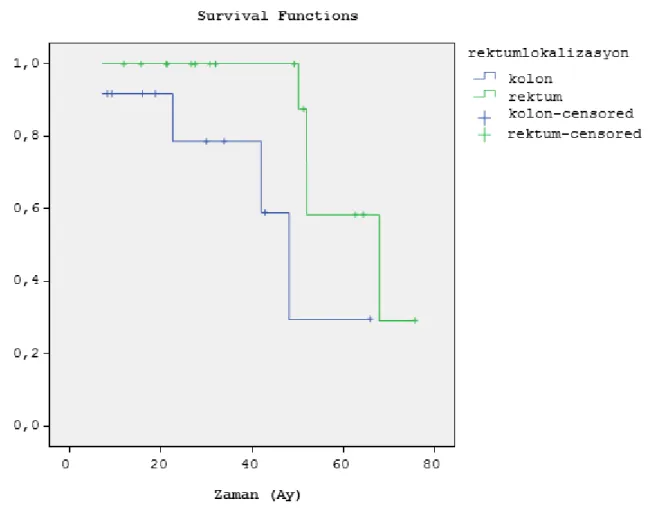 Tablo 13. Primer tümör yerleşimine göre sağkalım oranları  Primer Tümör Yeri  n  Median Sağkalım 