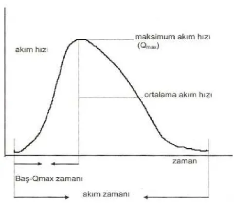 Şekil 4. Normal flovmetri eğrisinin sematik gösterimi 