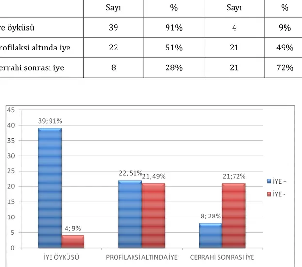 Şekil 4. İYE DAĞILIMI