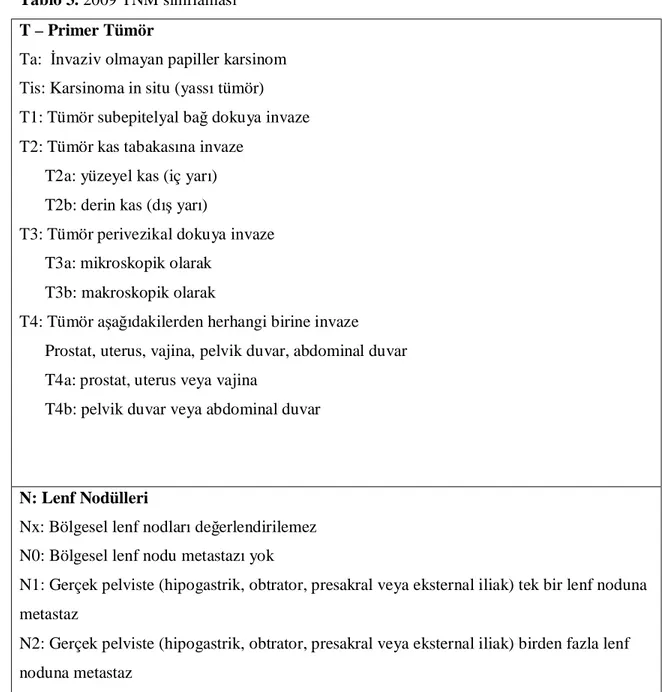 Tablo 3. 2009 TNM sınıflaması  T – Primer Tümör 