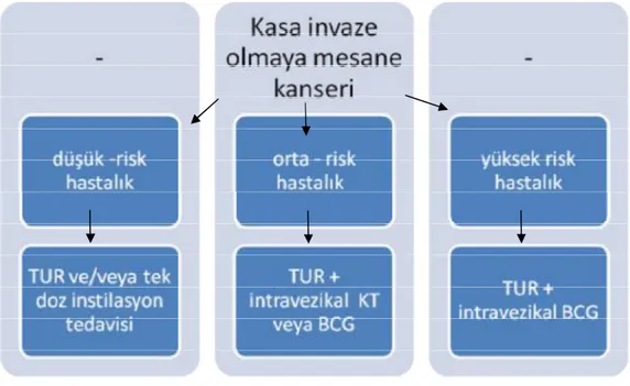 Şekil 1: Yüzeyel mesane tümörlerinde risk gruplarına göre tedavi seçenekleri 