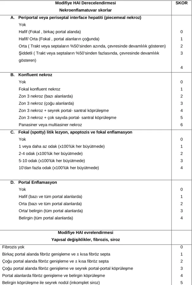 Tablo 1:  Modifiye Histolojik Aktivite İndeksi 