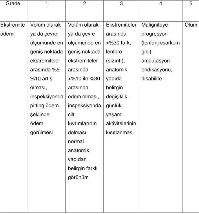 Tablo  5:  National  Cancer  Institute’s  Common  Terminology  Criteria  for  Adverse 