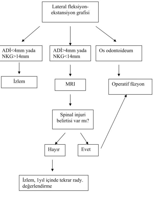 Şekil 5. Asemptomatik C1–2 instabilite hastalarında tedavi algoritması  MRI  Spinal injuri  belirtisi var mı?  Hayır   Evet  Operatif füzyon Lateral fleksiyon-ekstansiyon grafisi ADİ&lt;4mm yada NKG&gt;14mm ADİ&gt;4mm yada NKG&lt;14mm Os odontoideum İzlem 