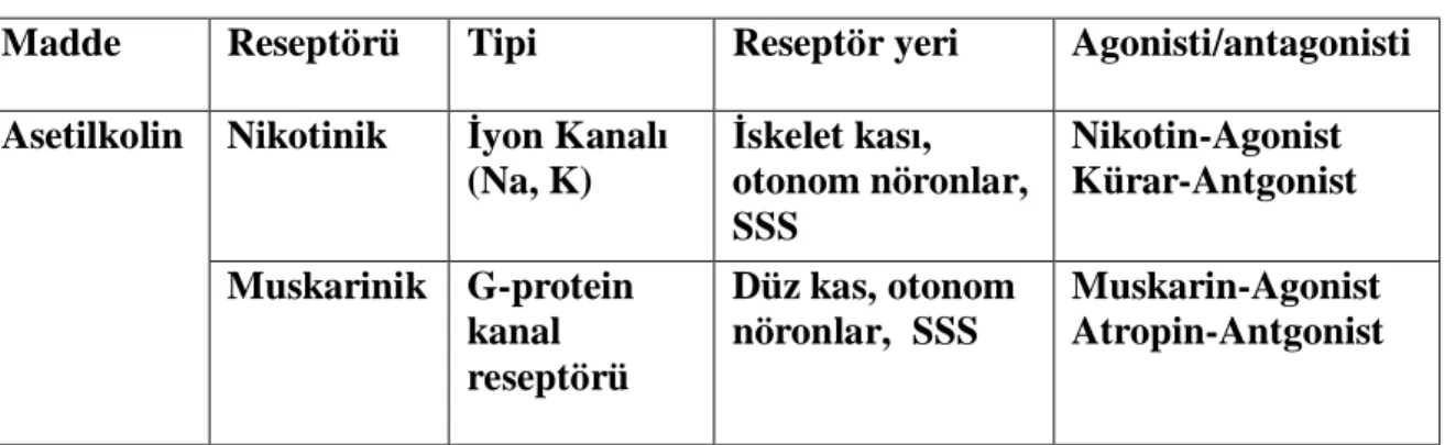 Tablo 1. Ach reseptörleri (23) 