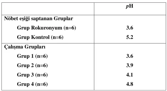 Tablo 3. Çalışmamızda kullanılan solusyonların pH’ları 