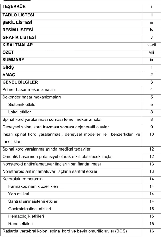 TABLO LİSTESİ      ii 
