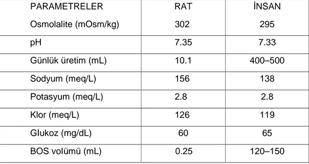 Tablo 3: Rat beyin omurilik sıvısının biyokimyasal özellikleri (40) 
