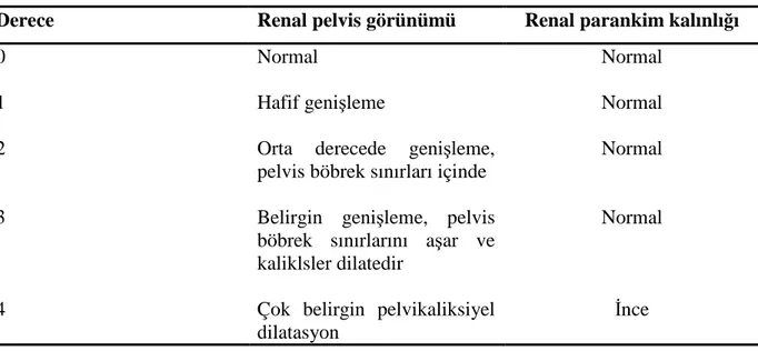 Tablo 2 : “Society of Fetal Urology”antenatal hidronefroz derecelendirme sistemi  