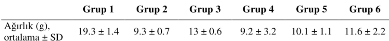 Tablo 5. Gruplara göre deney sonunda sıçan ağırlıklarının grup ortalamaları  
