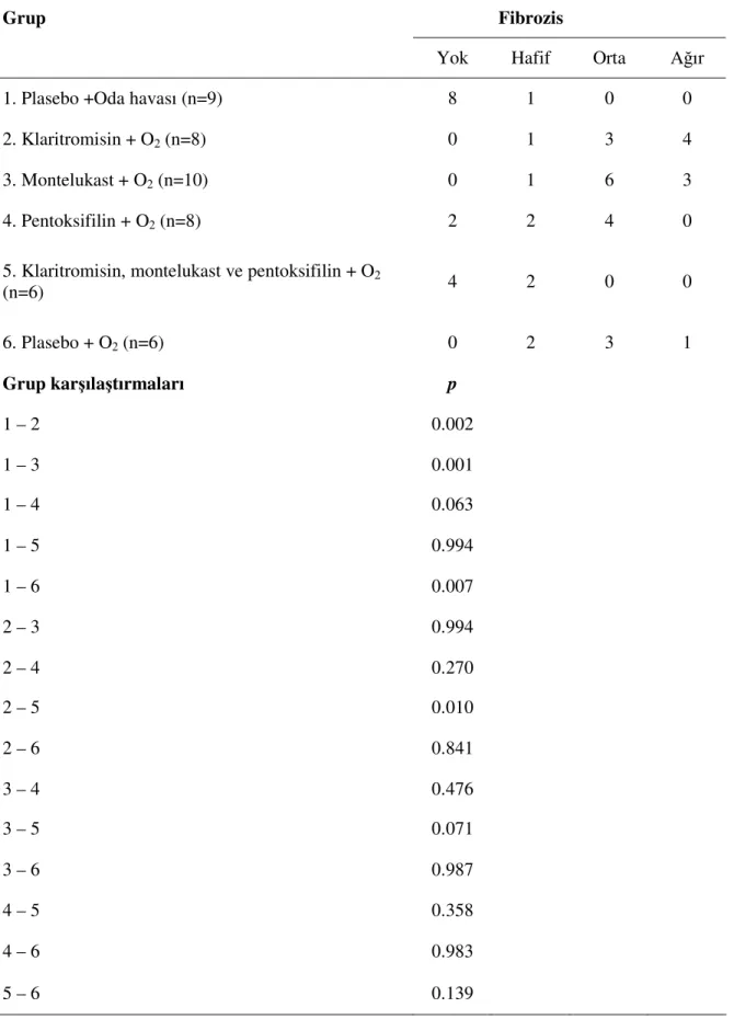 Tablo 7. Deney gruplarında fibrozis skorlarına göre dağılım 