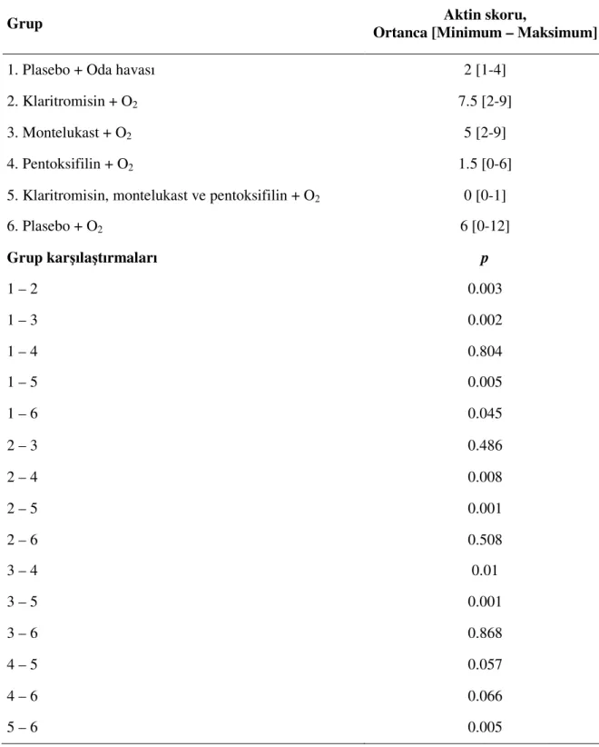 Tablo 8. Gruplara göre aktin skorları 