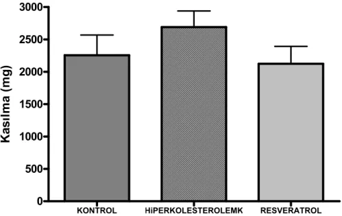 Şekil 10: 80 mM KCl uygulaması sonucu renal arterde oluşan kasılma yanıtları