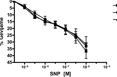 Şekil 13: Renal arterde kümülatif dozlarda SNP uygulanması sonucu oluşan gevşeme yanıtları SNP  [M]% Gevşeme