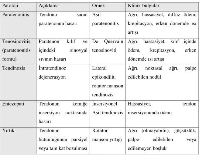 Tablo 1: Sık görülen tendon patolojileri 